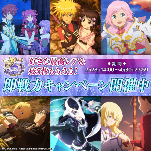 ꡼ No.004 | ֥ƥ륺   쥤ס٥ȡȥӥե쥹Ĥαɤ򳫺