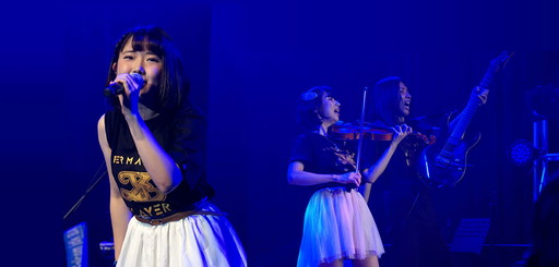 ꡼ No.002Υͥ / ե륳jdkХɤΥĥ饤֤ŷꡣեʥϸɤǳ