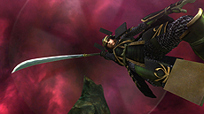 ꡼ No.012Υͥ / Ĺ¼ĹԥɥޡBASARA Ĺ¼פ2016ǯ9ȯءİ²ˤʪ줬