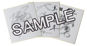 画像ギャラリー No.025のサムネイル画像 / 「戦国BASARA 真田幸村伝」は当初予定からやや前倒しの8月25日発売へ。第2弾PVや,フィギュア付きイーカプコン限定版などの情報が一挙公開