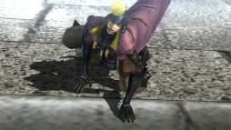 ꡼ No.030 | ꡼ĹԥɥޤBASARA Ĺ¼ץץ쥤ݡȡ͵ˤץ쥼ơȹ碌ƷǺ