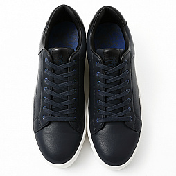 ꡼ No.005 | BASARAפΰãȿĹ¼򥤥᡼ˡȻо졣ͽճ