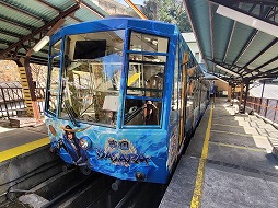 ꡼ No.003 | ûBASARAܥ졼 ǥ륹ץ꡼פ429˥