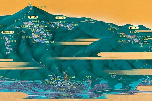 ꡼ No.005 | ûBASARAܥ졼 ǥ륹ץ꡼פ429˥