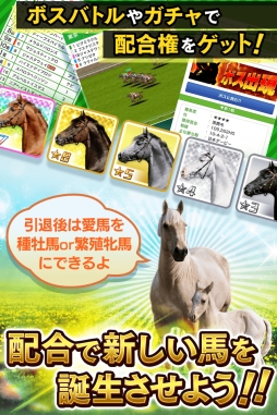 ꡼ No.002Υͥ / ϰͥ٥֥꡼פmobcastǥӥ