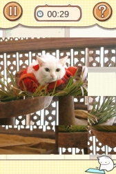 ꡼ No.006Υͥ / ɥޡǭפθॢץֶǷȤäפۿ