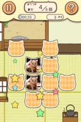 ꡼ No.007Υͥ / ɥޡǭפθॢץֶǷȤäפۿ