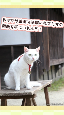 玉之丞といっしょ