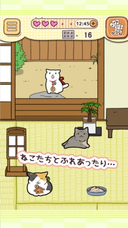 玉之丞といっしょ