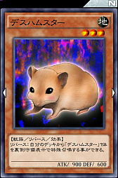 ꡼ No.005 | ͷ ǥ奨󥯥פΡϢưȥåץǥåפҲ𡣥ꥷɤΥȤȤʼ郎