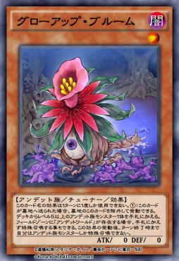 ꡼ No.004Υͥ / ͷ ǥ奨󥯥פ21ƥߥBOX֥֡ɥåɡפ󶡤