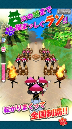 戦国にゃんこ玉