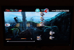 ꡼ No.005 | ֥ǥޥ륺פ֥饤СCSפʤPCSTG罸礷٥ȡ֥ȥ󥸥פͤݡ