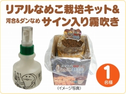 ꡼ No.002 | ֤ʤᤳݥå HDסꥢʤᤳݥåȤ䥮եȷTwitterڡ