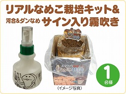 ꡼ No.002 | ֤ʤᤳݥå HDס֤ʤᤳݥåSeasons HDפTwitterڡ