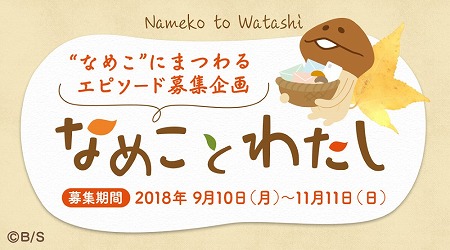 ꡼ No.001 | ֤ʤᤳݥåȡץ꡼٥ȡȤʤᤳȤ錄ɤ򳫺