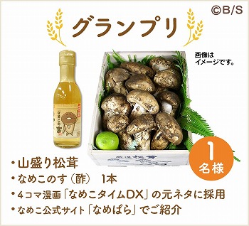 ꡼ No.003 | ֤ʤᤳݥåȡץ꡼٥ȡȤʤᤳȤ錄ɤ򳫺