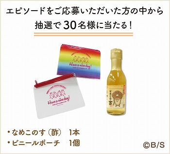 ꡼ No.005 | ֤ʤᤳݥåȡץ꡼٥ȡȤʤᤳȤ錄ɤ򳫺