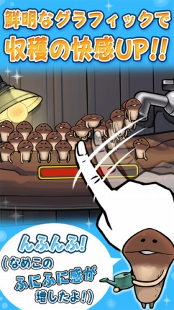 なめこ栽培キット HD