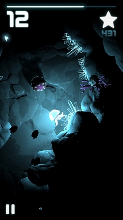 ���������꡼ No.004�Υ���ͥ������ / ���饲�Ȥʤäƿ�����������Ӥ롪�����磻�ץ���������Seashine�פ�Ҳ𤹤�֡ʤۤܡ��������ޥۥ������̿�����1022��