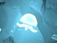 ���饲�Ȥʤäƿ�����������Ӥ롪�����磻�ץ���������Seashine�פ�Ҳ𤹤�֡ʤۤܡ��������ޥۥ������̿�����1022��