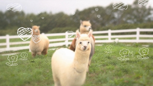 3DSҾʪ 3ĤΤڤͧ׾Ҳ1