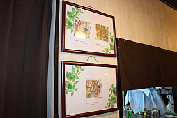 ꡼ No.006 | ꡼20ǯޤҾʪפΥܥե򥪡ץ󡣡֡Ҿʪ٤ΤΤꥫեפǡϤʪ򤸤ạ̈浪