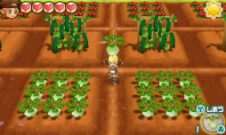 ꡼ No.003 | Ҿʪ 3ĤΤڤͧפιǡ2ƤҲ𤹤ư