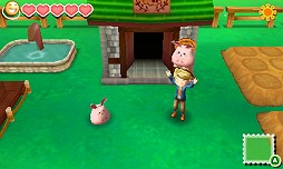 ꡼ No.009 | Ҿʪץ꡼Υ뤬档оݥȥ뤬66%OFF