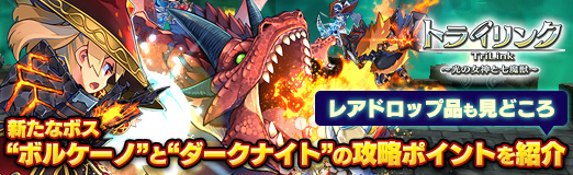 ꡼ No.018Υͥ / PR֥ۡȥ饤󥯡νȼá׿ʥܥȥܥ륱ΡɤȡȥʥȡɤιάݥȤҲ𡣥쥢ɥåʤ⸫ɤ