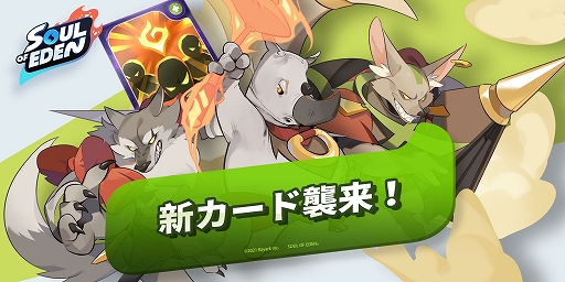 ꡼ No.005 | ֥롦֡ǥפ˥ɥȡ꡼ǽ