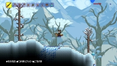 ꡼ No.005 | Wii Uǡ֥ƥꥢפȯ915˷ꡣõۡƮʤɤͻҤǧǤץ⡼ࡼӡ