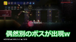 ꡼ No.006Υͥ / Wii Uǡ֥ƥꥢסॺKazu󤬥ץ쥤Ҳư