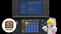 ꡼ No.007 | 3DSǡ֥ƥꥢפŹƬθաΡ̳ƻΥ4Źޤ429缡