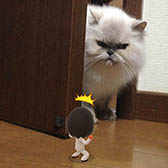 ꡼ No.018Υͥ / ǤŷƲΥޥۥץMiitomoפλϿդϡʬΡMiiɤơȼȡɤΥߥ˥ڤSNSץ