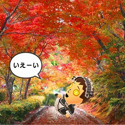 ꡼ No.026 | ǤŷƲΥޥۥץ1ơMiitomoפ򤵤äθɤʿͤǤ⥳ߥ˥ڤ롤¿SNSˤʤꤽͽ