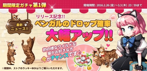 画像ギャラリー No.005のサムネイル画像 / 「マイにゃんカフェ」が配信開始。友達招待キャンペーン第1弾を実施