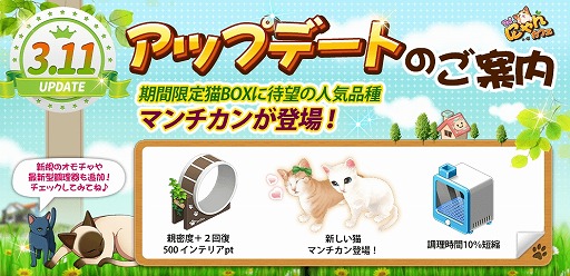 ꡼ No.002Υͥ / ֥ޥˤ󥫥եס10DL˵ǰǥƥब館륯ݥ