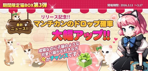 ꡼ No.003Υͥ / ֥ޥˤ󥫥եס10DL˵ǰǥƥब館륯ݥ