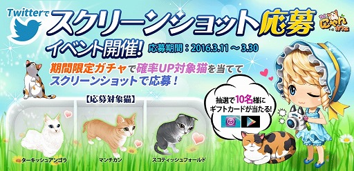 ꡼ No.005Υͥ / ֥ޥˤ󥫥եס10DL˵ǰǥƥब館륯ݥ