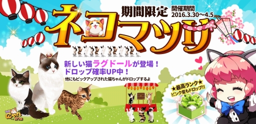 ꡼ No.001Υͥ / ֥ޥˤ󥫥ե׿ǡ֤ĥȥåפɲäˡָ٥Ȥ»