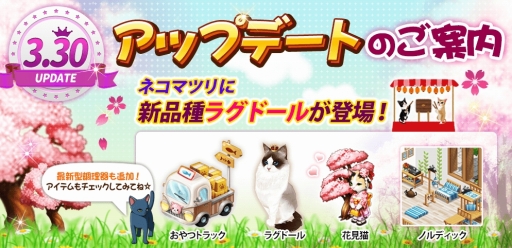 ꡼ No.002Υͥ / ֥ޥˤ󥫥ե׿ǡ֤ĥȥåפɲäˡָ٥Ȥ»