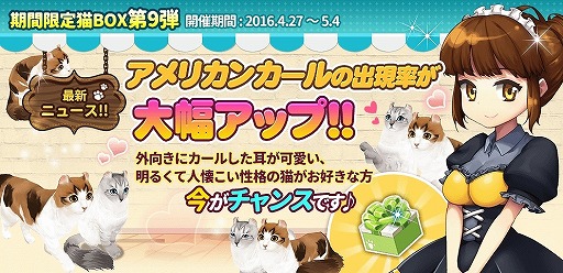 ꡼ No.005 | ֥ޥˤ󥫥եסǭ10Ϣ㥷ƥɲäޤॢåץǡȤ»