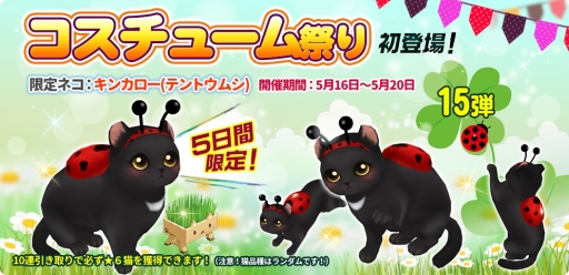 ꡼ No.001Υͥ / ֥ޥˤ󥫥եפǸ֥ͥ󥫥ʥƥȥॷˡפо줹륬㥤٥ȳ