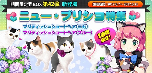 ꡼ No.006 | ֥ޥˤ󥫥եסSPƥꥢֻ۲֡פо졣NPC俷ǭɲä