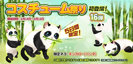 画像ギャラリー No.001のサムネイル画像 / 「マイにゃんカフェ」,ガチャイベント“コスチューム祭り”を開催