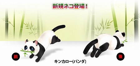 画像ギャラリー No.002のサムネイル画像 / 「マイにゃんカフェ」,ガチャイベント“コスチューム祭り”を開催