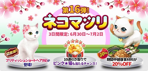 ꡼ No.001Υͥ / ֥ޥˤ󥫥եס㥤٥ȡ֥ͥޥĥ16Ƥ3ָǳ