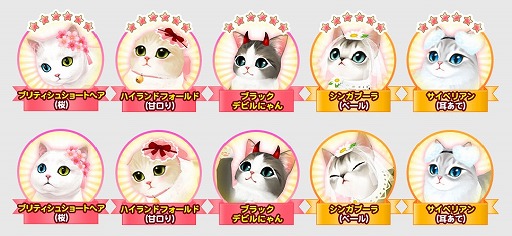 ꡼ No.006Υͥ / ֥ޥˤ󥫥եס㥤٥ȡ֥ͥޥĥ16Ƥ3ָǳ