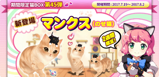 画像ギャラリー No.001のサムネイル画像 / 「マイにゃんカフェ」,ビンゴイベント第15弾&限定ガチャ第45弾を開催